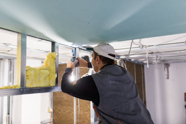 Best Blown-in Insulation  in Hlside, IL