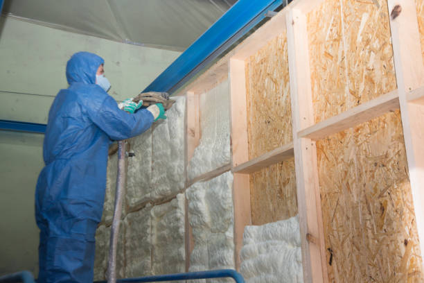 Best Insulation Replacement Services  in Hlside, IL